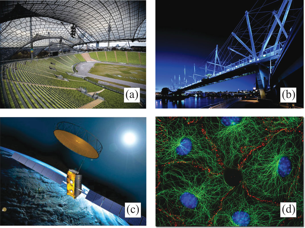 Application of deployable pin-Jointed structures: (a) hanging roof of Olympiastadion; (b) Kurilpa bridge; (c) Astro-Mesh deployable mesh reflector; (d) cytoskeleton cells.