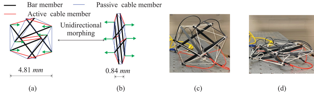 Optimal placement of active cable members for a reconfigurable tensegrity unit cell: (a) simulation of deployed unit cell; (b) simulation of folded unit cell; (c) deployed macro-scale prototype; (d) folded macro-scale prototype.